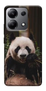 Чохол на Xiaomi Redmi Note 13 4G Панда фото 1 з 1