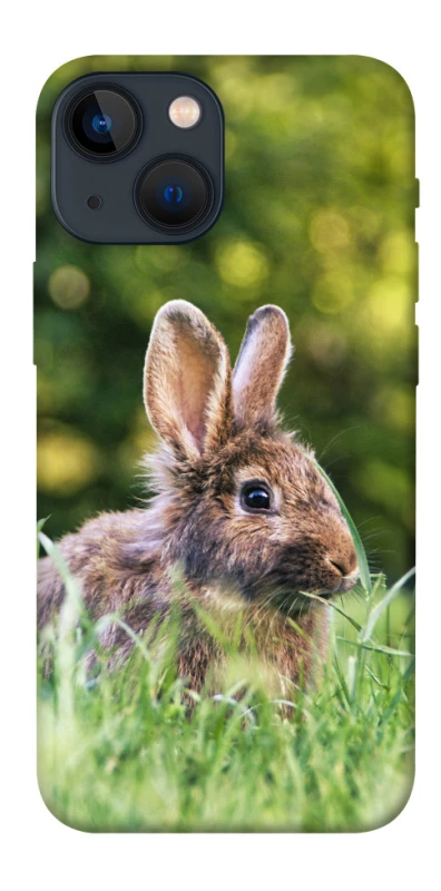 Чехол на Apple iPhone 13 mini (5.4") Кролики фото 1 из 1