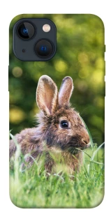 Чехол на Apple iPhone 13 mini (5.4") Кролики фото 1 из 1