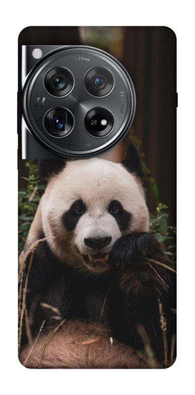 Чехол на OnePlus 12 Панда фото 1 из 1