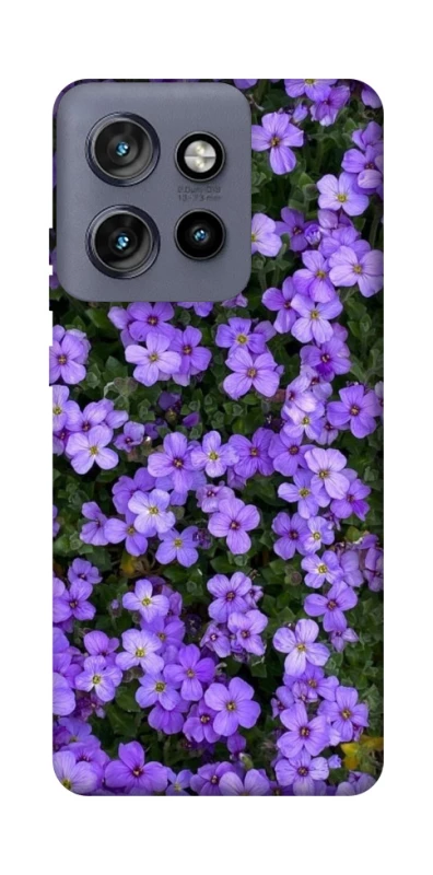 Чохол на Motorola Edge 50 Neo Flowers v17 фото 1 з 1