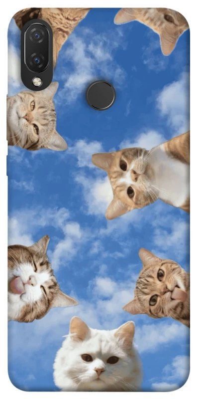 Чехол на Huawei P Smart+ (nova 3i) Сats фото 1 из 1