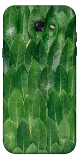 Чехол на Samsung A720 Galaxy A7 (2017) Листья фото 1 из 1