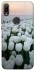 Чехол на Huawei Y6 (2019) Flowers v1 фото 1 Чехол на Huawei Y6 (2019) Flowers v1 фото 1 из 1