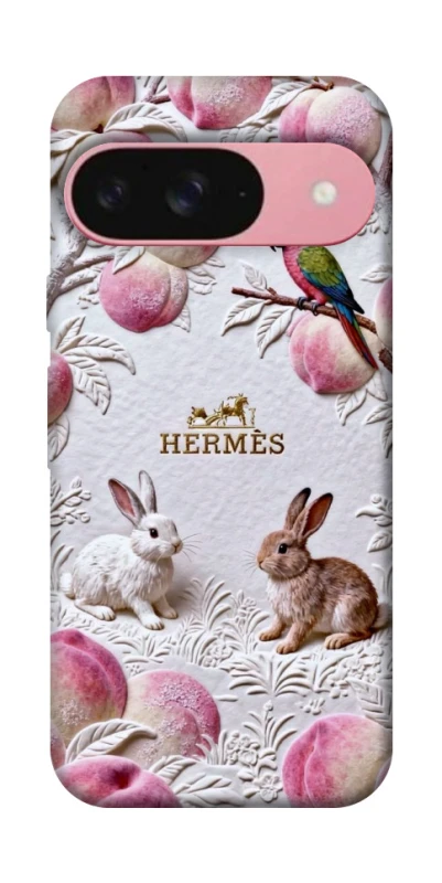 Чехол на Google Pixel 9 Hermes фото 1 из 1