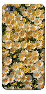 Чохол на Xiaomi Redmi 4a Camomile фото 1 з 1