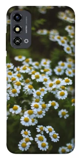 Чехол на ZTE Blade A53 Ромашки v13 фото 1 из 1