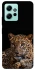 Чехол на Xiaomi Redmi Note 12 4G Leopard v4 фото 1 из 1