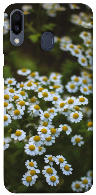 Чохол на Samsung Galaxy M20 Ромашки v13 фото 1 з 1