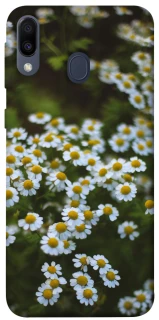 Чехол на Samsung Galaxy M20 Ромашки v13 фото 1 из 1