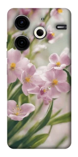 Чохол на TECNO Pova 6 Neo (LI6) Spring фото 1 з 1