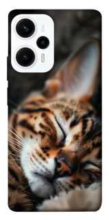 Чохол на Xiaomi Poco F5 / Note 12 Turbo Cat paws фото 1 з 1