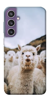 Чехол на Samsung Galaxy S23 FE Лама фото 1 из 1