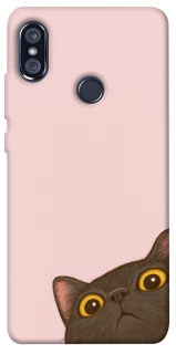Чохол на Xiaomi Redmi Note 5 Pro / Note 5 (AI Dual Camera) Peeping cat фото 1 з 1