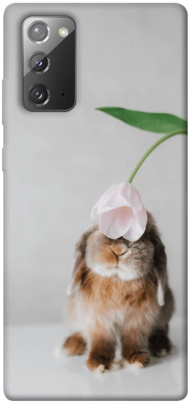 Чехол на Samsung Galaxy Note 20 Bunny фото 1 из 1