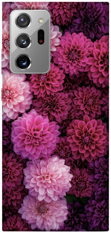 Чохол на Samsung Galaxy Note 20 Ultra Garden1 фото 1 з 1