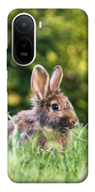 Чохол на Xiaomi Redmi A7 Pro 4G Кролики фото 2 з 2
