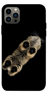 Чохол на Apple iPhone 12 Pro (6.1") Cat фото 1 з 1