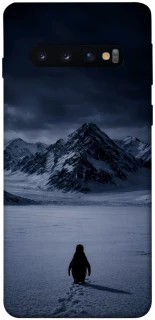 Чехол на Samsung Galaxy S10 But why? фото 1 из 1