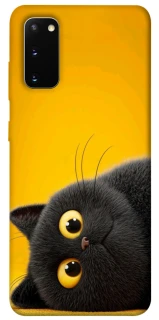 Чохол на Samsung Galaxy S20 This is Cat фото 1 з 1