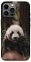 Чехол на Apple iPhone 12 Pro Max (6.7") Панда фото 1 из 1