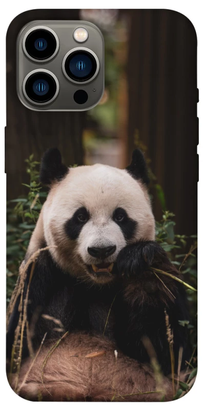 Чохол на Apple iPhone 13 Pro Max (6.7") Панда фото 1 з 1