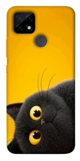 Чохол на Realme C21Y This is Cat фото 1 з 1