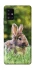 Чехол на Samsung Galaxy A51 5G Кролики фото 1 из 1