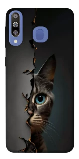 Чехол на Samsung Galaxy M30 Кот-подглядыватель v2 фото 1 из 1