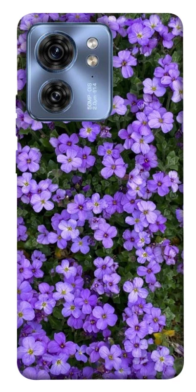 Чехол на Motorola Edge 40 Flowers v17 фото 1 из 1
