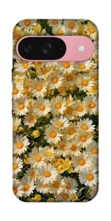 Чехол на Google Pixel 9 Camomile фото 1 из 1