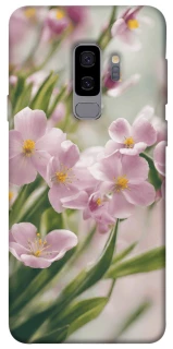 Чехол на Samsung Galaxy S9+ Spring фото 1 из 1