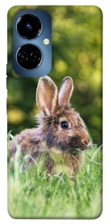 Чохол на TECNO Camon 19 Кролики фото 1 з 1