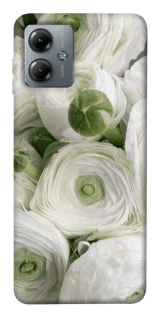 Чохол на Motorola Moto G14 Mornings фото 1 з 1