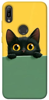 Чехол на Huawei Y6 (2019) Black cat v2 фото 1 из 1