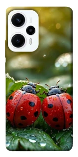 Чохол на Xiaomi Poco F5 / Note 12 Turbo Flowers v23 фото 1 з 1