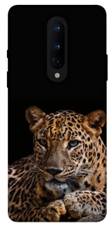 Чохол на OnePlus 8 Leopard v4 фото 1 з 1
