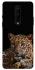 Чехол на OnePlus 8 Leopard v4 фото 1 из 1