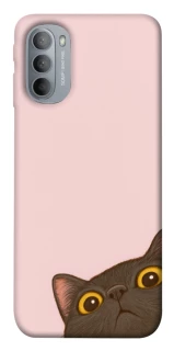 Чохол на Motorola Moto G31 Peeping cat фото 1 з 1