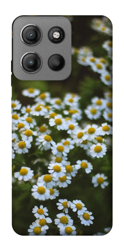 Чохол на Motorola Moto G15 Power Ромашки v13 фото 1 з 1