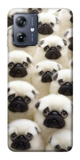 Чохол на Motorola Moto G54 Doggy Pug Love фото 1 Чохол на Motorola Moto G54 Doggy Pug Love фото 1 з 1