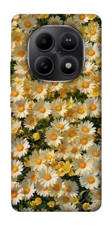 Чохол на Xiaomi Redmi Note 15 5G Camomile фото 1 з 1