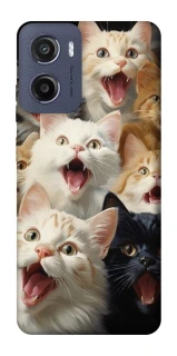 Чохол на Motorola Moto E15 Коти фото 1 з 1