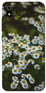 Чехол на Xiaomi Redmi 7A Ромашки v13 фото 1 из 1