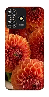 Чохол на ZTE Blade A73 4G Flower1 фото 1 з 1