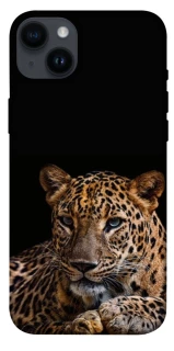 Чехол на Apple iPhone 14 Plus (6.7") Leopard v4 фото 1 из 1
