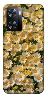 Чехол на OnePlus Nord N20 SE Camomile фото 1 из 1
