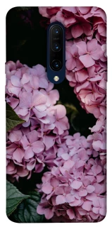 Чохол на OnePlus 7 Pro Рожеві гартензії фото 1 з 1