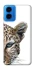 Чохол на Motorola Moto G45 Leopard Art v2 фото 1 з 1
