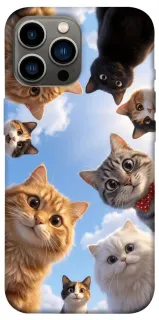 Чехол на Apple iPhone 12 Pro Max (6.7") Cats фото 1 из 1